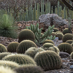 Arroyo Seco